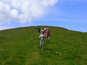 Walk